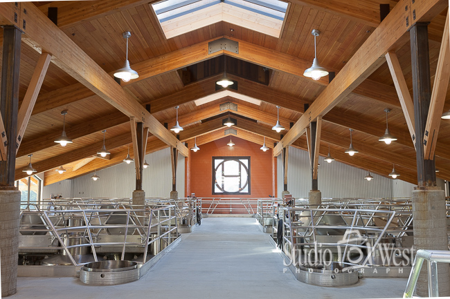 Harlter Ranch Tank Room Observation Deck Wood Beam Construction Photos - Paso Robles Winery Photography - Studio 101 West Photography
