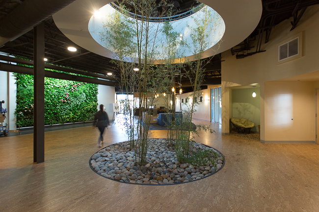 Mindbody Interior Photography San Luis Obispo Architecture Photographer - Studio 101 West Photography